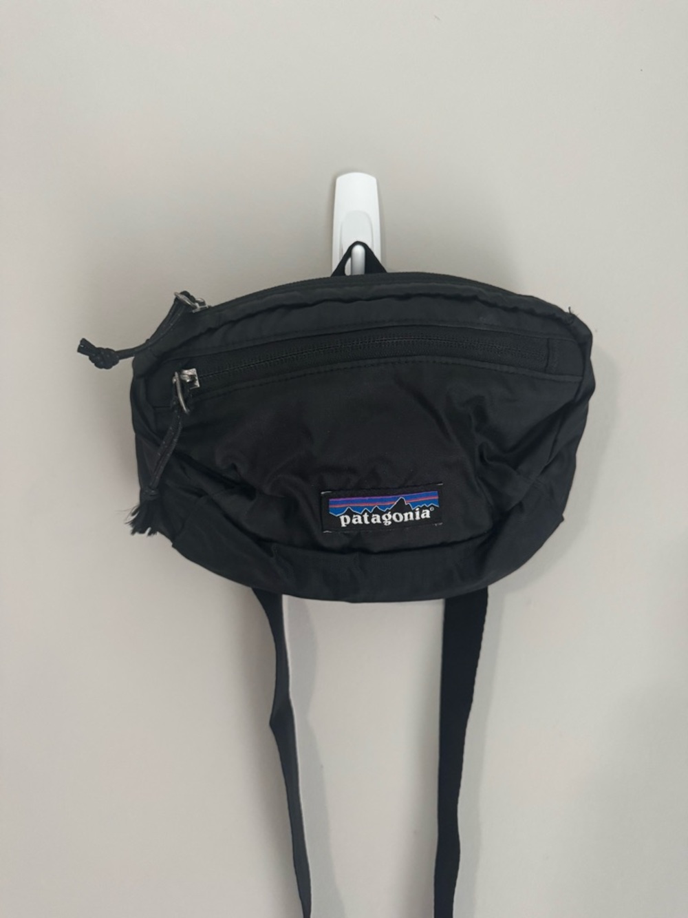 Patagonia Lightweight Travel Mini Hip Pack